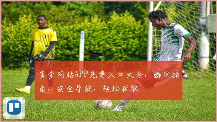 黄金网站APP免费入口大全，避坑指南，安全导航，轻松获取