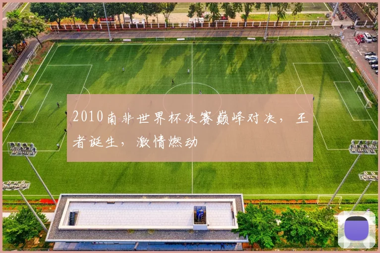 2010南非世界杯决赛巅峰对决，王者诞生，激情燃动