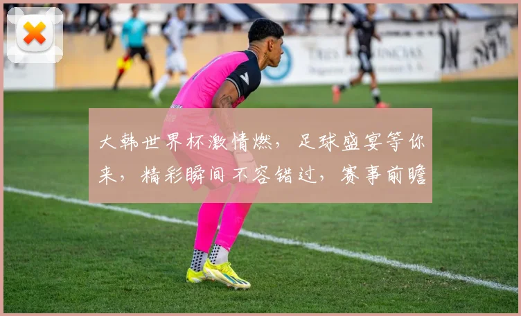大韩世界杯激情燃，足球盛宴等你来，精彩瞬间不容错过，赛事前瞻一网打尽，锁定焦点